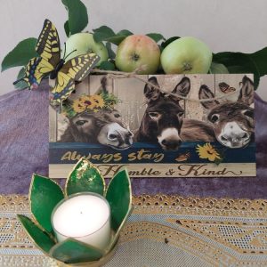 positiivinen vanerikyltti aasi