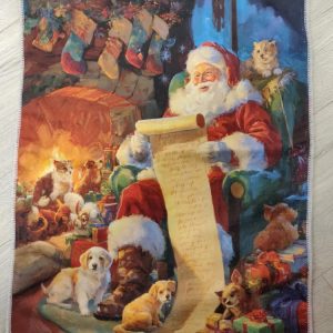 Iloinen Joulupyyhe, Joulupukin posti