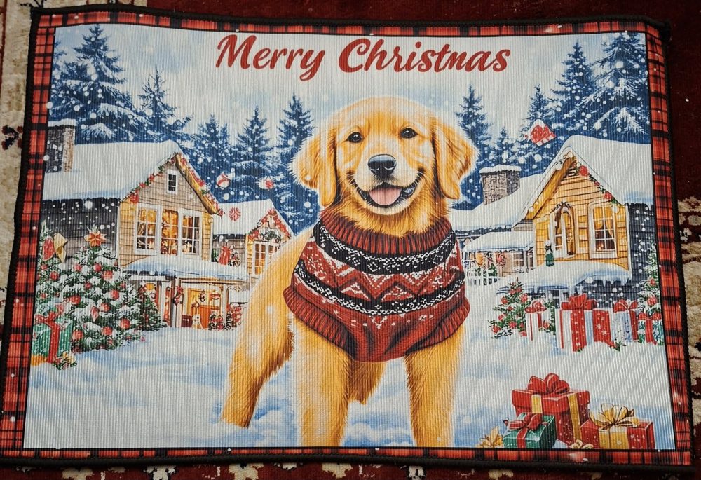 Joulukynnysmatto jarrupohjalla, Jouluvieraita odotetaan