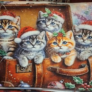 Jouluinen Pehmomatto jarrupohjalla, Joulukissat matkustavat Etelän lämpöön