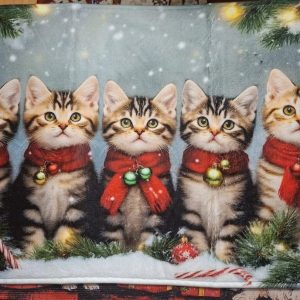 Jouluinen Pehmomatto jarrupohjalla, Kissanpennut rivissä