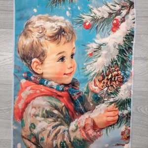 Suloinen Joulupyyhe, Poika ja käpy