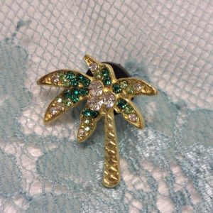 Pieni Rintakoru/ Pinssi Palmun alla