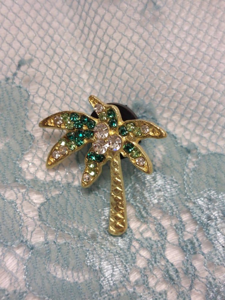 Pieni Rintakoru/ Pinssi Palmun alla