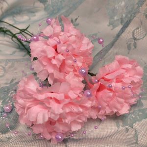 Kauniit Kestokukat, Neilikat 3 kpl