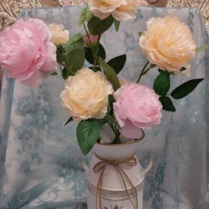 Kauniit Kestokukat, Pionit, 3 kpl