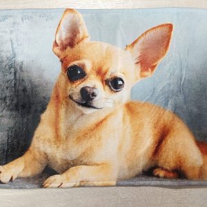 Kaunis Pehmo-Kynnysmatto jarrupohjalla, Rakkauden Koira