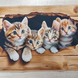 Kaunis Kynnysmatto/ vessan matto jarrupohjalla, Uteliaat Kissanpennut