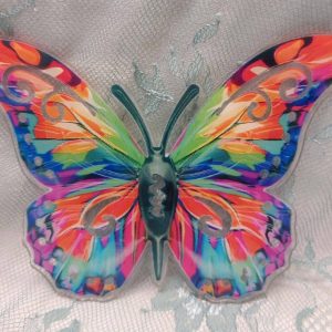 Kaunis Ikkunaperhonen, värikäs