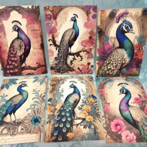 Persoonalliset Riikinkukko-kortit, 6 kpl