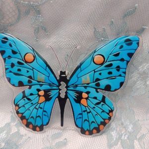 Kaunis Ikkunaperhonen, turkoosi