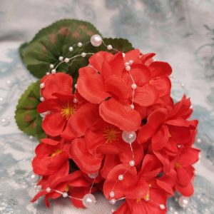 Kestokukka, Pelargonia, tummanpunainen