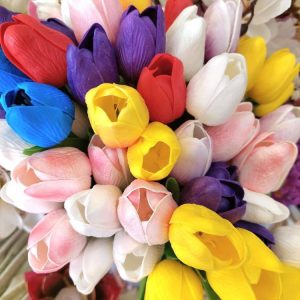 Kaunis Kestokukka, Värikkäät Tulppaanit, 7 kpl