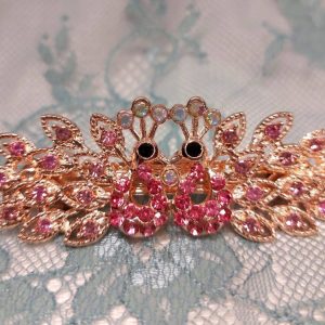 Kaunis, näyttävä Hiussolki, Värikkäät Riikinkukot